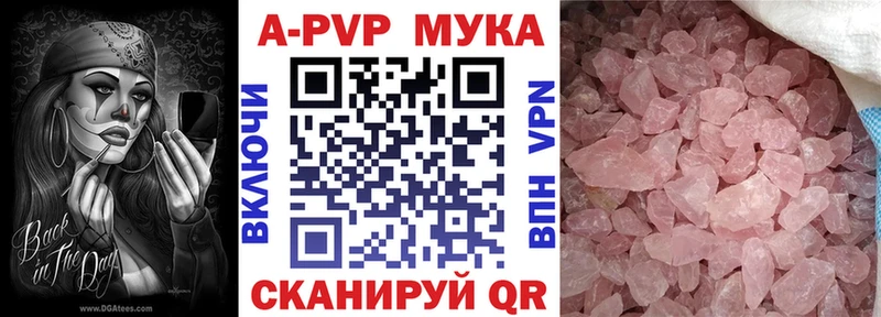 A PVP СК КРИС  Кологрив 