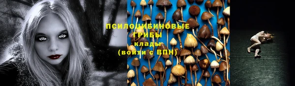 меф Арсеньев