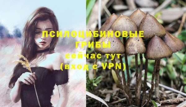 наркотики Аркадак