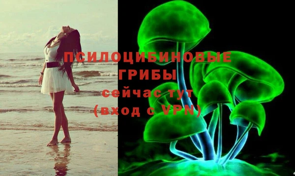 меф Арсеньев