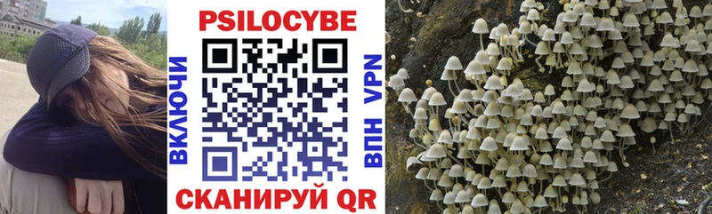 Псилоцибиновые грибы ЛСД Кологрив